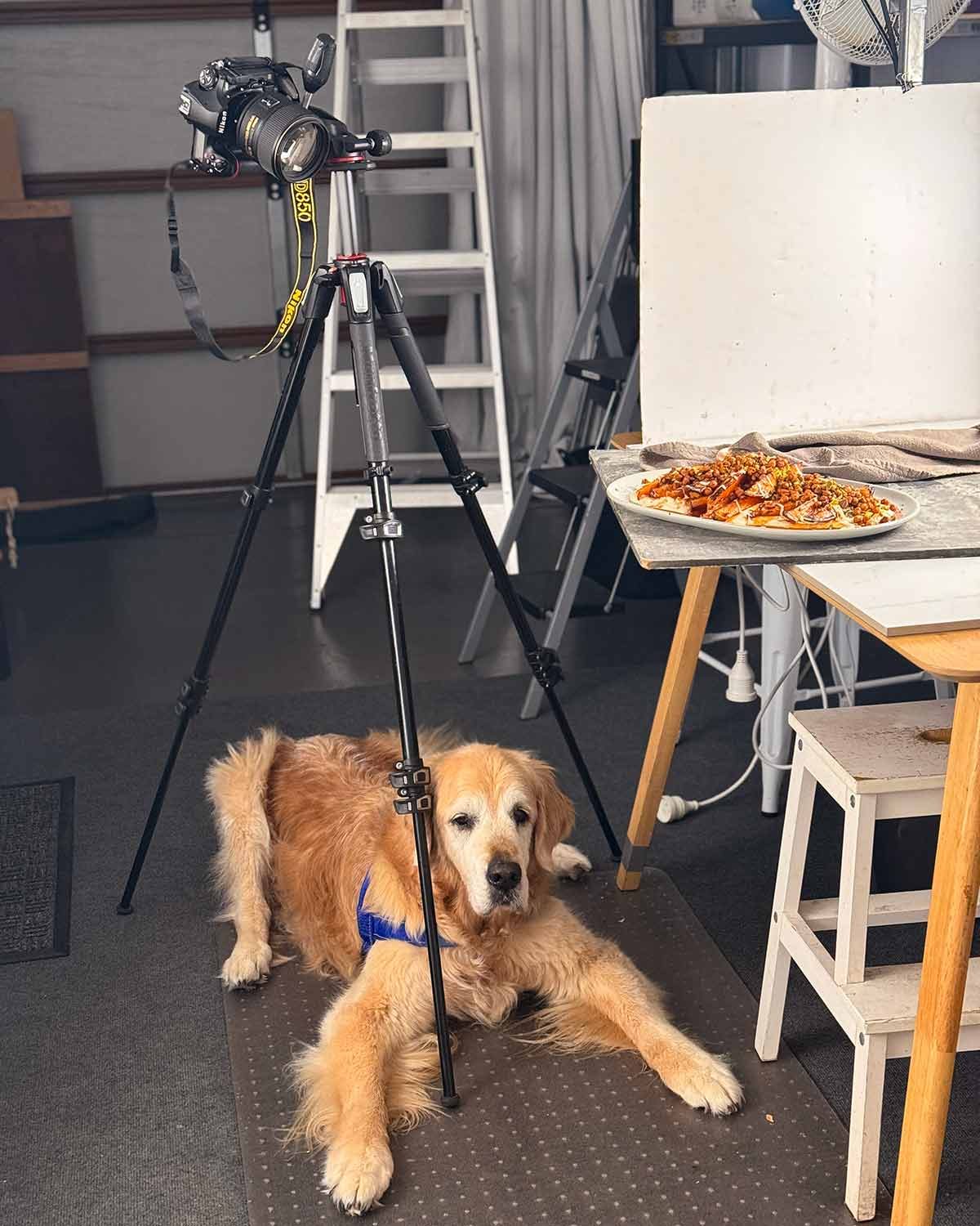 Dozer-shoot-room-6-June-2025-1