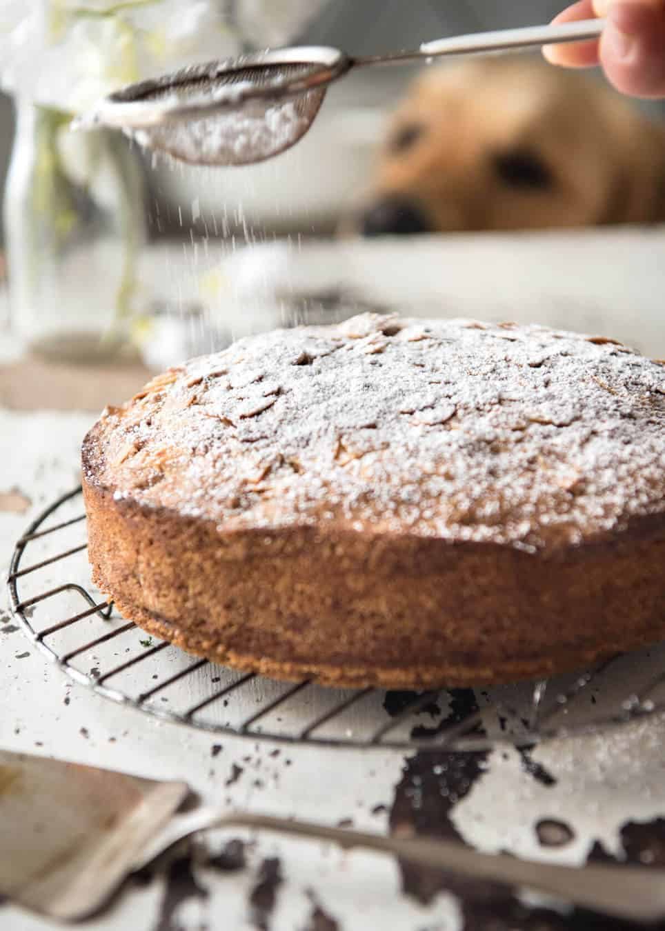 Hands down, the easiest and BEST Apple Cake recipe you will ever try! Made with fresh apples, no electric mixer required to make this beautiful moist cake. www.recipetineats.com