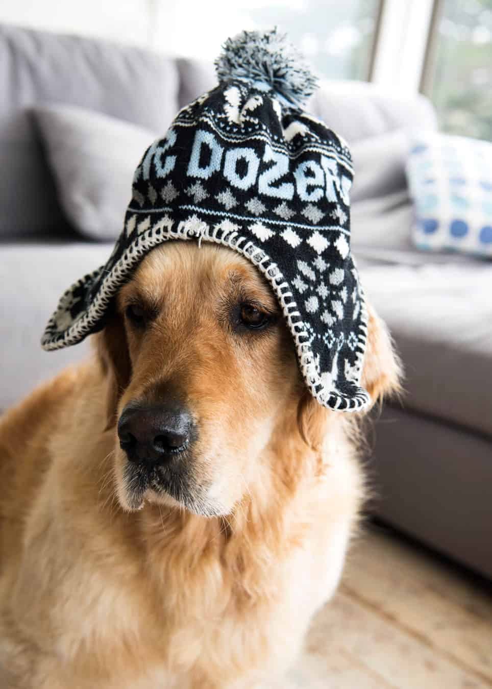 dozer-knitted-hat