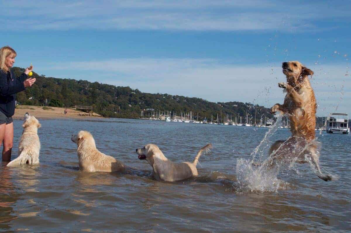 dozer-with-carolyn-and-family