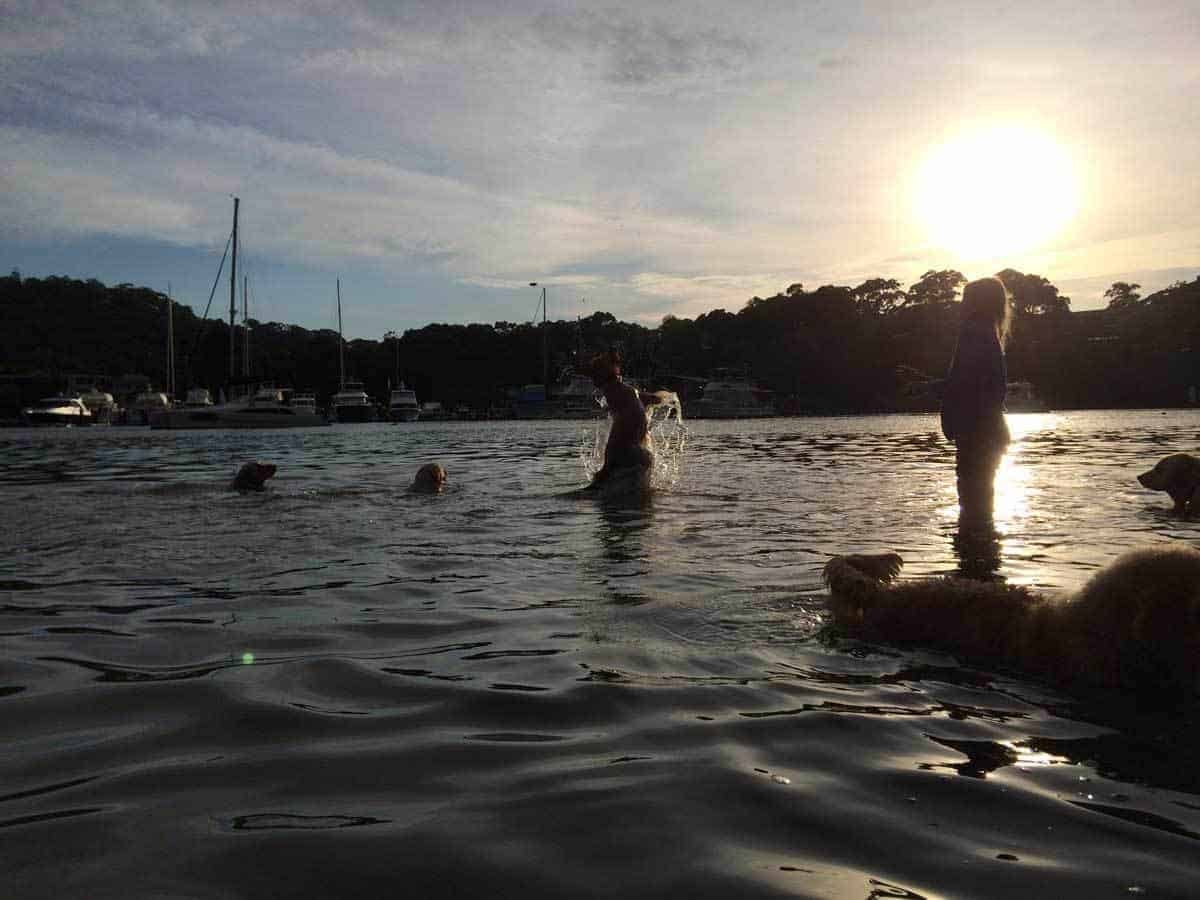 Dozer-Bayview-Sunset