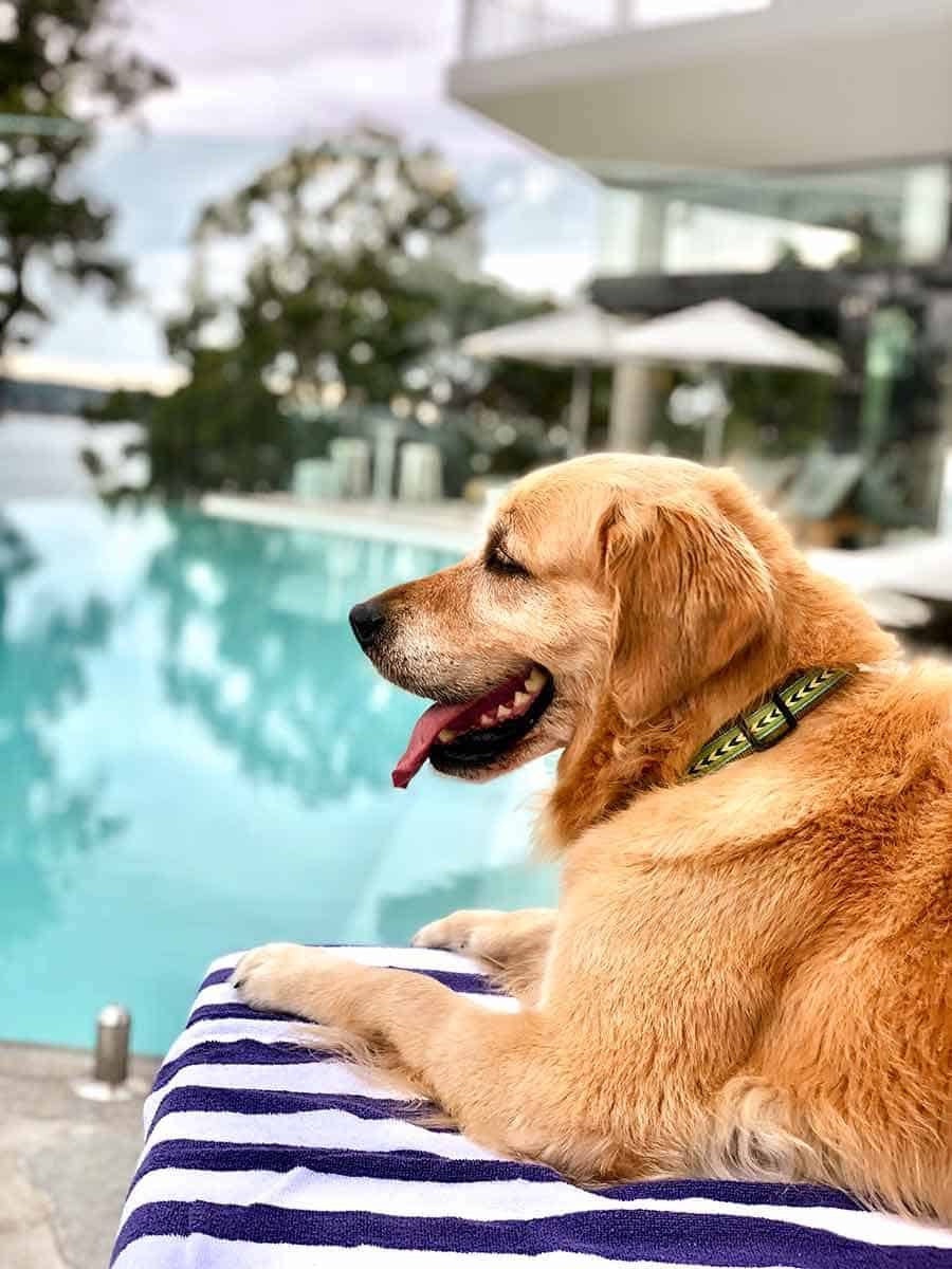 Dozer Bannisters Infinity Pool
