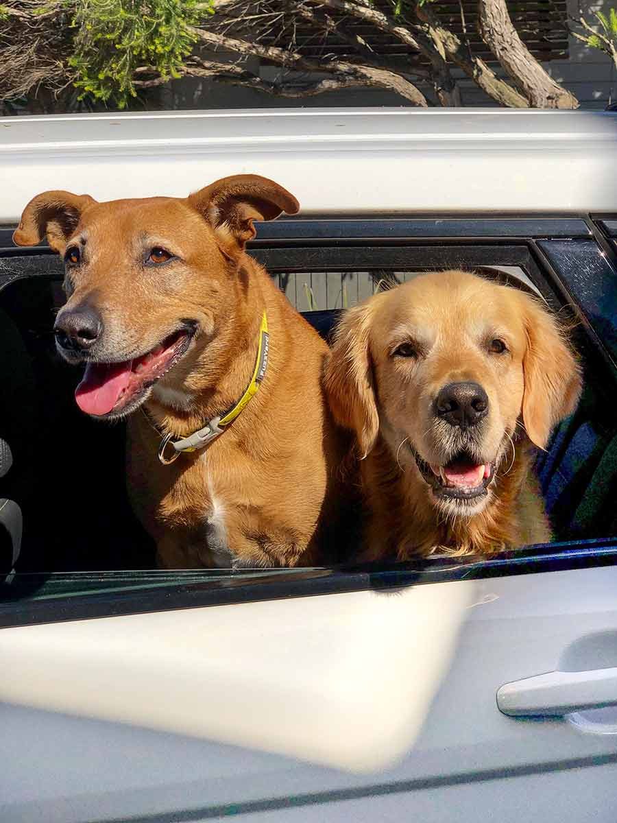 Dozer Jarrah girlfriend