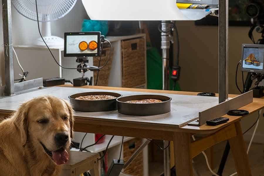 Dozer shooting dog cake recipe video