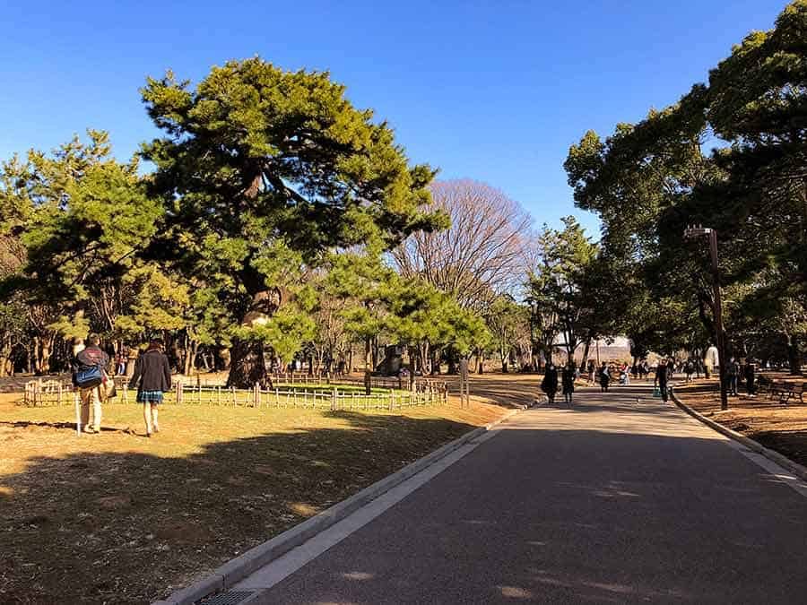 Yoyogi Park Harajuku Tokyo