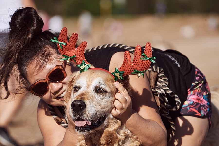 Dozer Nagi Bayview Christmas 2020 Unleashed Pittwater