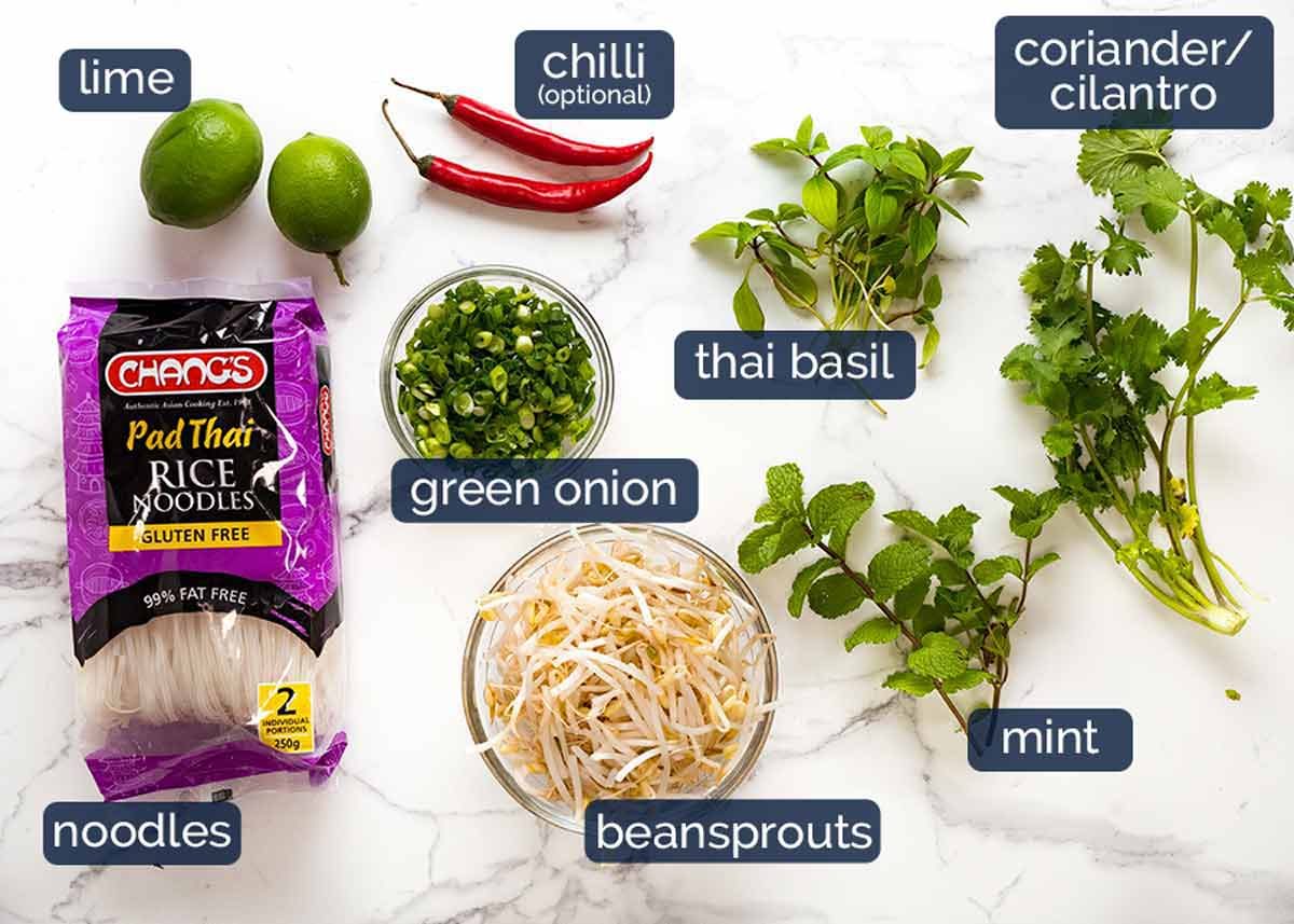 Ingredients in Chicken Pho - Vietnamese chicken noodle soup