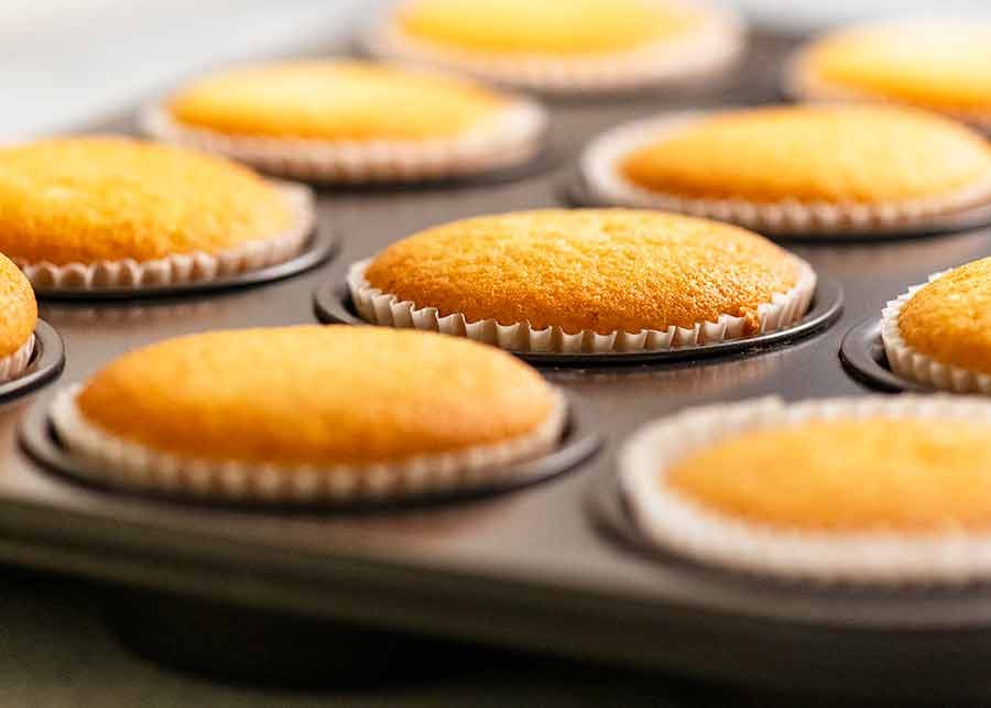 Vanilla Cupcakes in muffin tin, fresh out of the oven