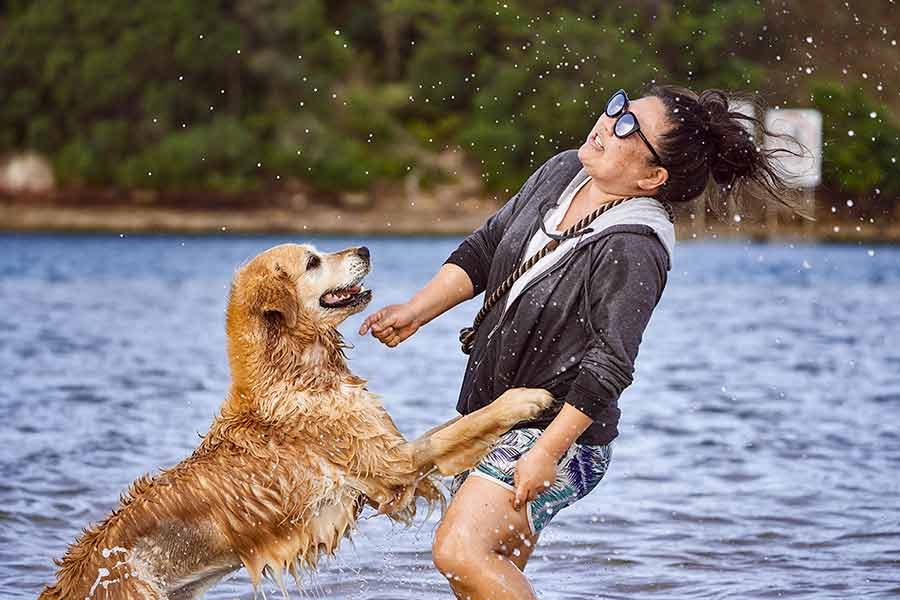 Dozer-leaping-on-Nagi-Bayview