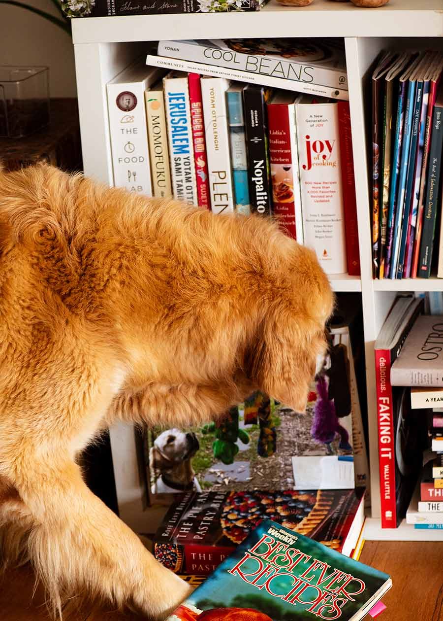 Dozer snuffling cookbooks
