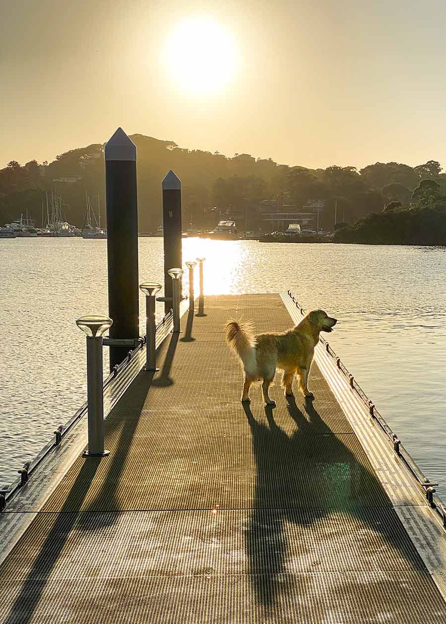 Dozer sunrise jetty Bayview
