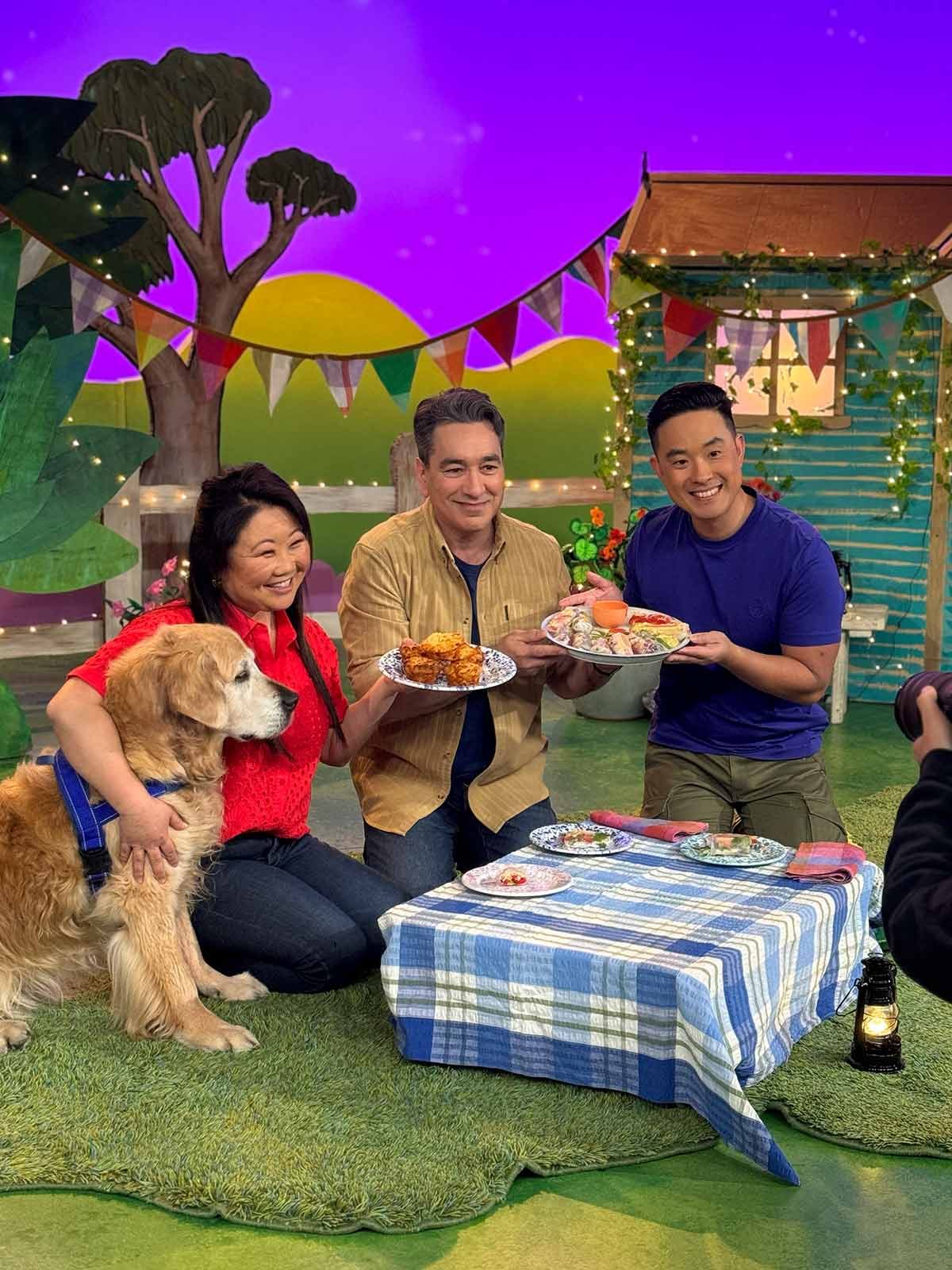 Dozer Play School 2024