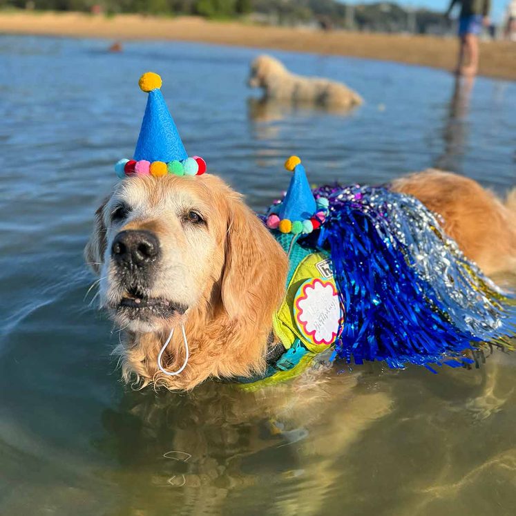 Dozer 13th birthday at Bayview 2025-5