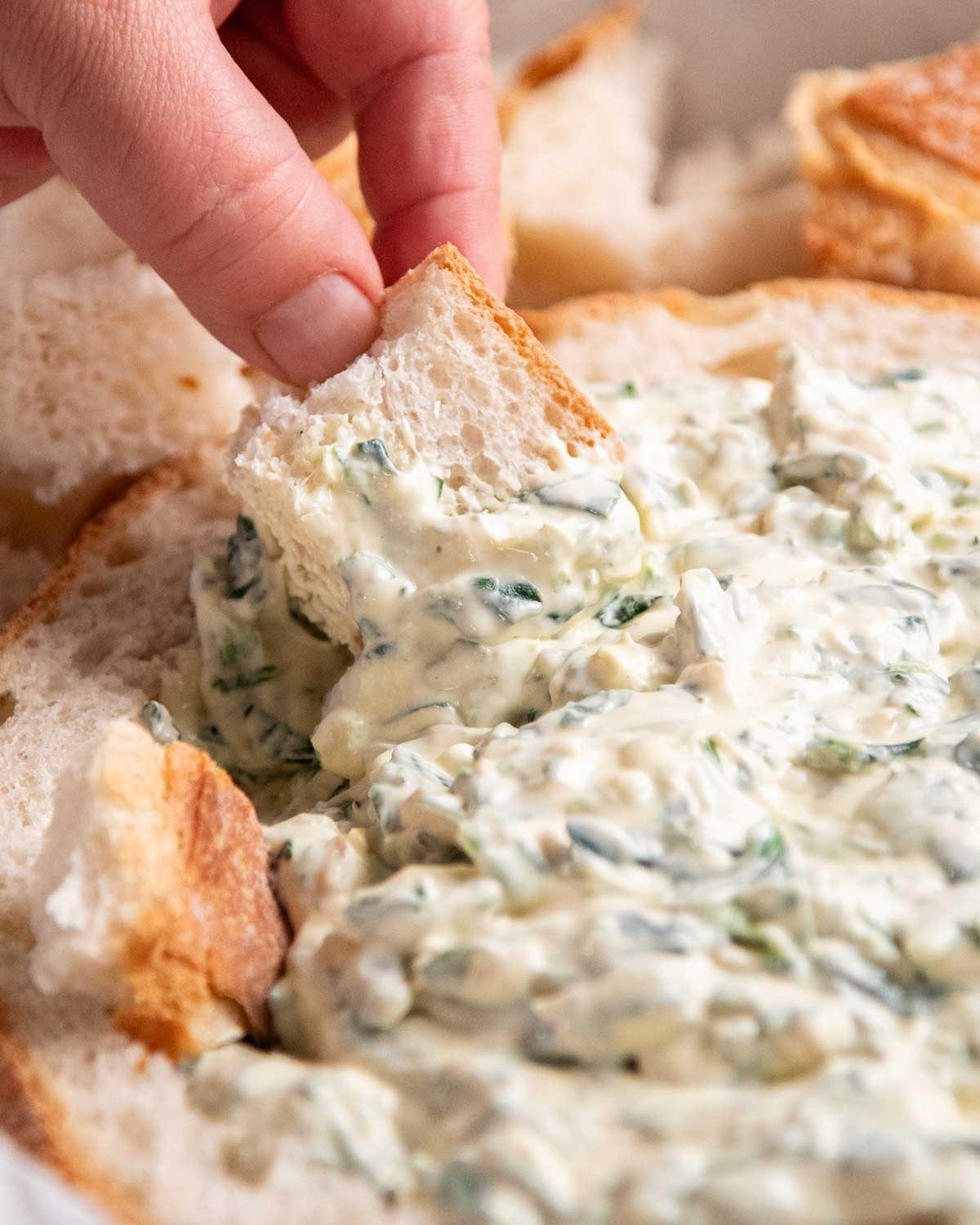 Spinach French Onion Cob Dip