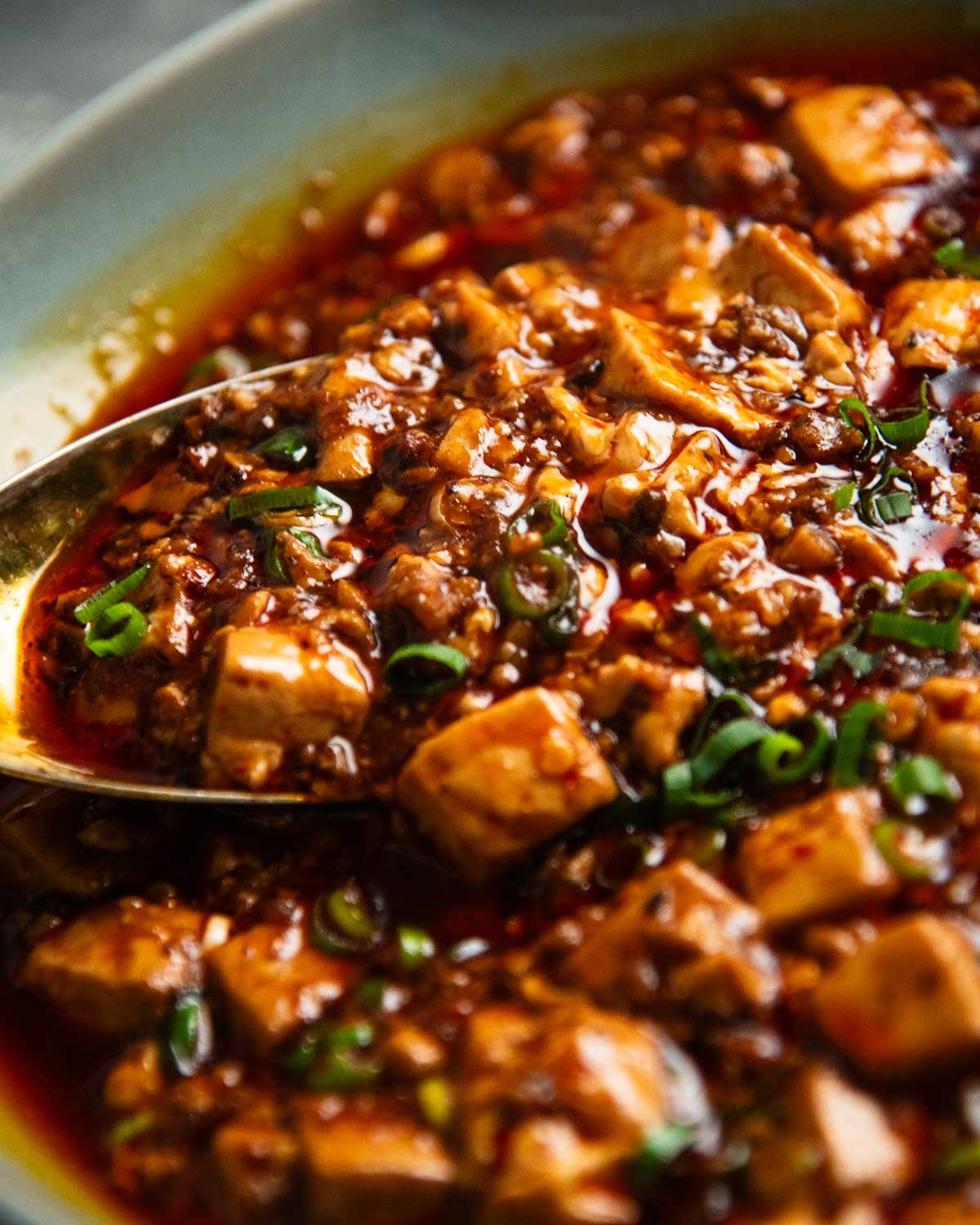 Mapo Tofu